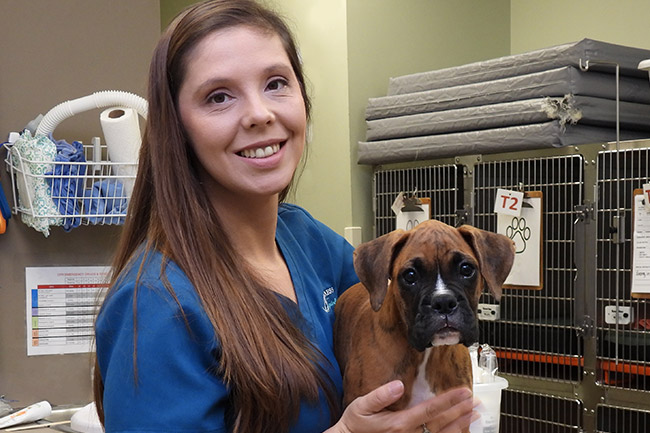Puppy Health Care | Vestavia HIlls, AL Vet | Pet Wellness Animal Hospital Puppy Health Care | Vestavia HIlls, AL Vet | Pet Wellness Animal Hospital
