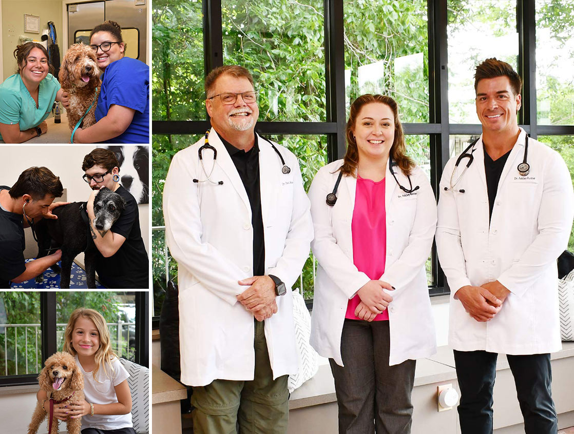 Animal Hospital of the Hills Vestavia ad Pet Wellness Animal Hospital